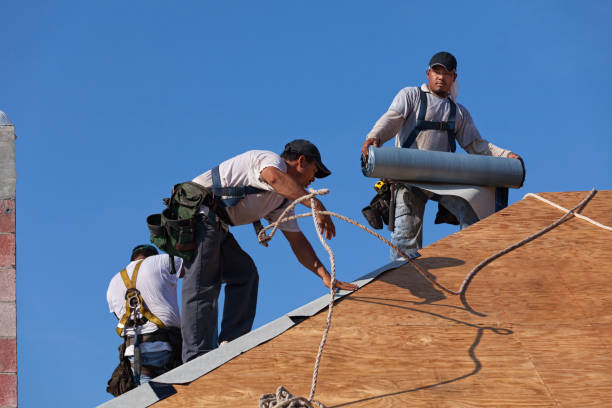 Best Shingle Roofing Installation  in St Ignace, MI